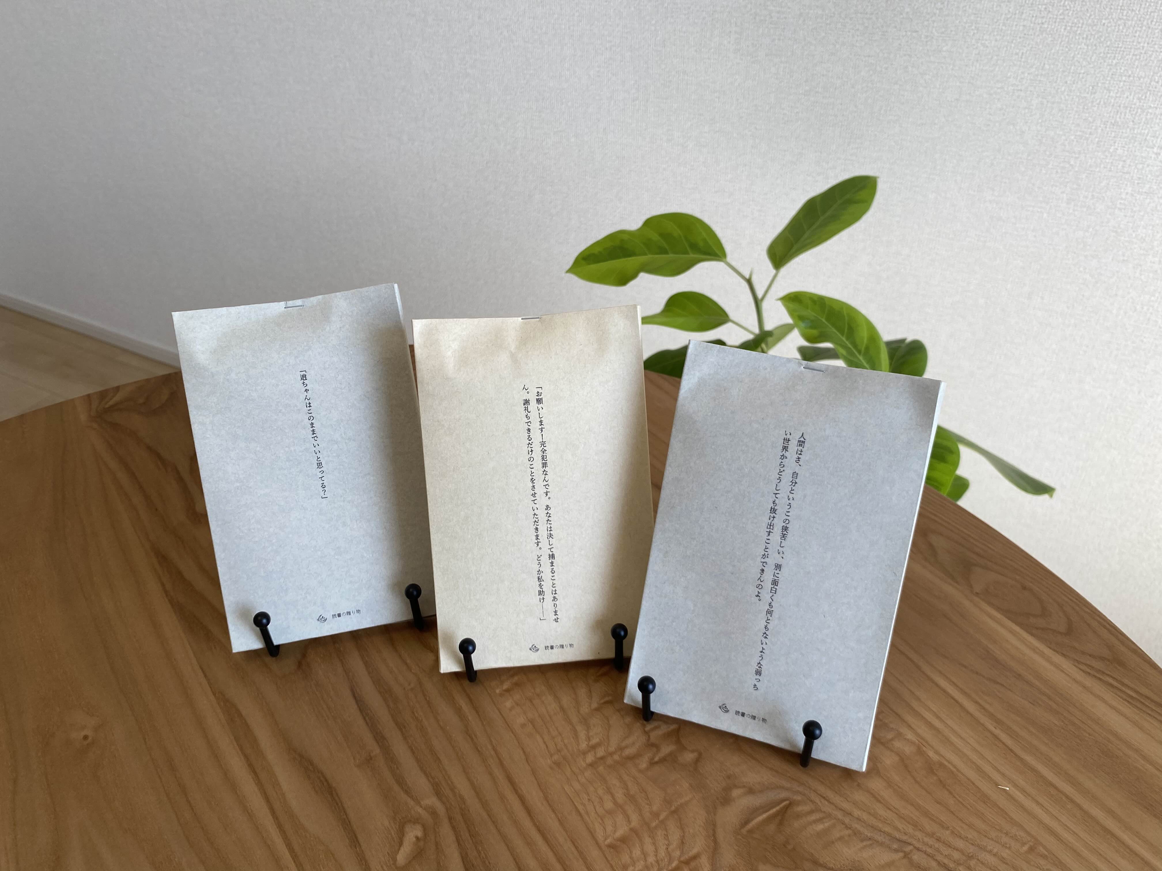 読書の贈り物の美しいパッケージ